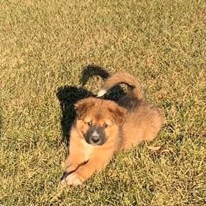 Meet your Posher, Alayna